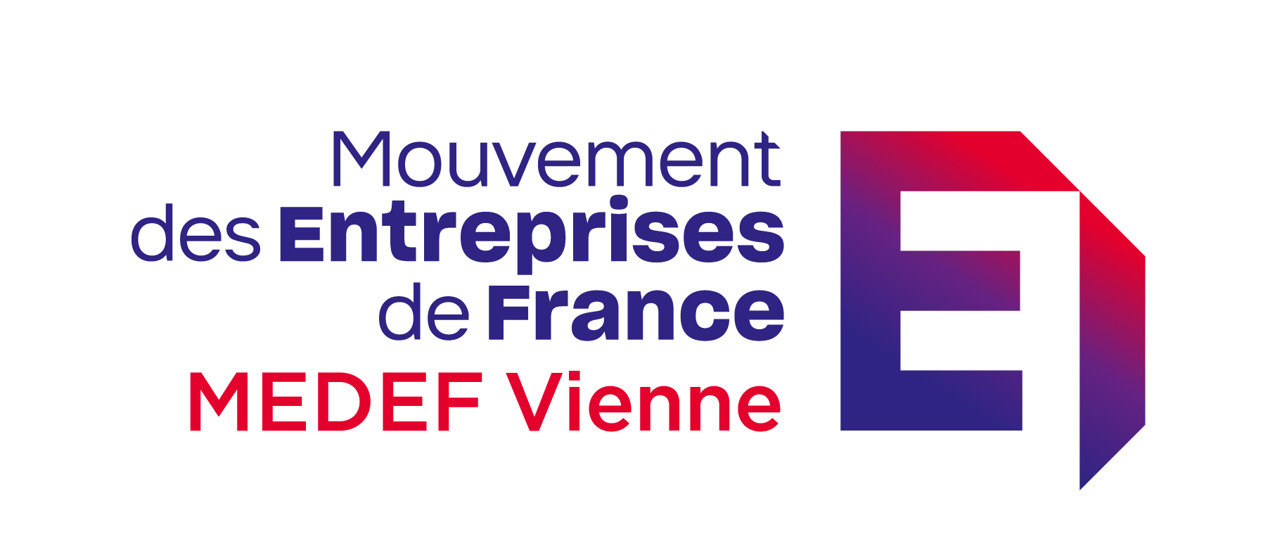 MEDEF Vienne LOGO RVB PNG